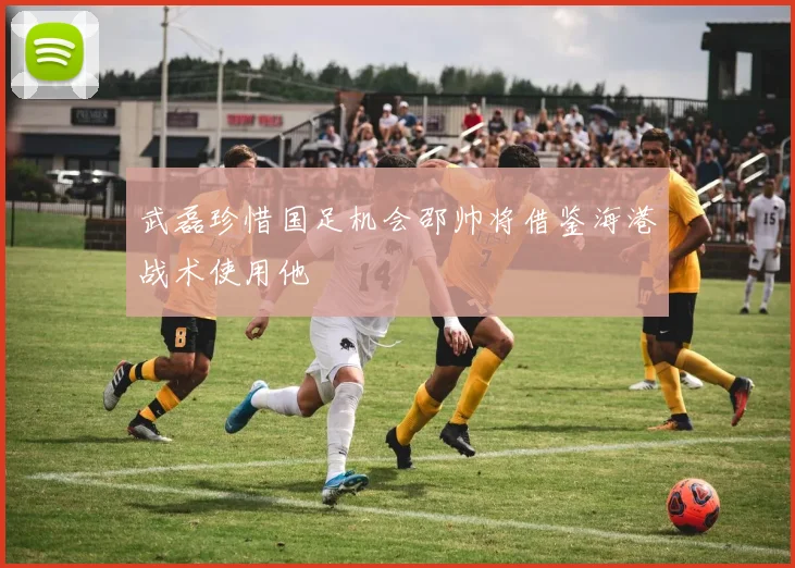 武磊珍惜国足机会邵帅将借鉴海港战术使用他