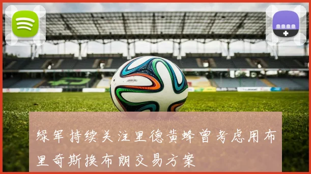 绿军持续关注里德黄蜂曾考虑用布里奇斯换布朗交易方案